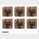 Search for curiosity stickers Mars