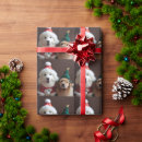 Search for costume wrapping paper Pet