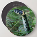 Search for snakes badges Wildlife