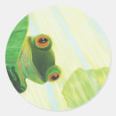 Search for green eyed stickers Frog