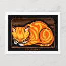 Search for cats sleeping postcards Kitten