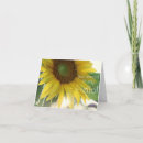 Search for sunshine photo cards Photography