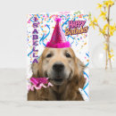 Search for retrieving Golden retriever