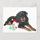 Search for rottweiler christmas cards Santa