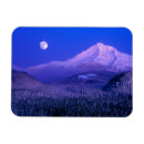 Search for summit magnets Forest