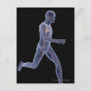 Search for x rays postcards Medicine