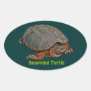 Search for terrapins stickers Turtle