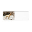 Search for yellow labrador return address labels Cute