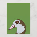 Search for waterfowl postcards Nature