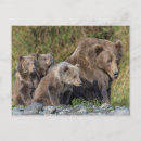 Search for mom and baby postcards Animal