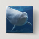 Search for underwater creatures badges Animal