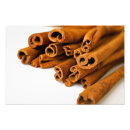 Search for cinnamon art Photography