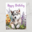Search for siberian husky dog birthday cards Puppy