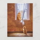 Search for kitty postcards Ginger