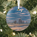 Search for moonlight christmas tree decorations Sky