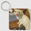 Search for gags key rings For her