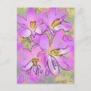 Search for crocuses postcards Plants