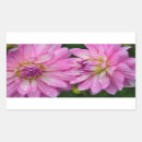 Search for dahlia flower stickers Nature