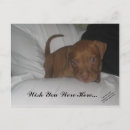 Search for you are here postcards Blue