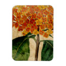Search for vibrant magnets Botanical