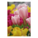 Search for garden foliage posters Adam jones