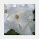 Search for iris garden magnets White