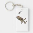Search for blackbird key rings Nature