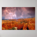 Search for bryce art Usa