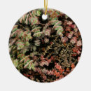 Search for vines christmas tree decorations Nature