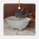 Search for parrotlet Bird