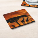 Search for african safari coasters Giraffe
