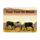 Search for caribou christmas cards Reindeer