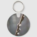 Search for bud key rings Tree