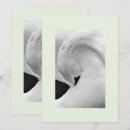 Search for swans wedding invitations Simple