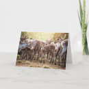 Search for herding cards Livestock