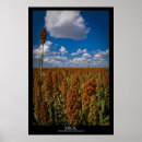 Search for excellent posters Field