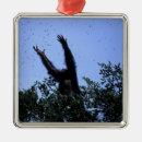 Search for tanzania christmas tree decorations Wildlife