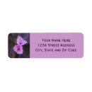 Search for flower photo return address labels Blossom