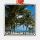 Search for florida key west christmas tree decorations Nature
