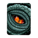 Search for predator magnets Reptile