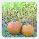 Search for two pumpkins stickers Cute