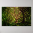 Search for green peace posters Meditation