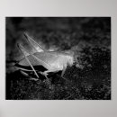 Search for insecte posters For her