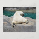 Search for sunbath postcards Nature