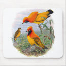 Search for bird of paradise mousepads Colourful