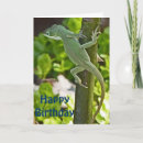 Search for funny lizard birthday cards Nature