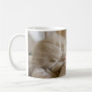 Search for sleeping kitten mugs Domestic cat