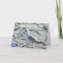 Search for myrtle beach cards Photography