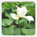 Search for lotus pond stickers Blossom