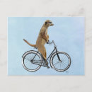 Search for bicycles postcards Contemporary